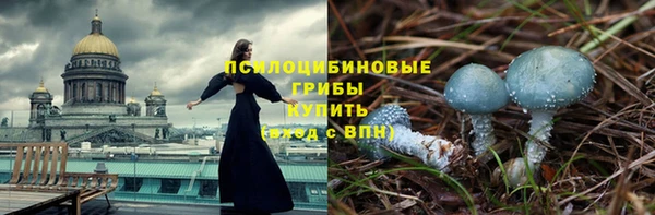 стафф Слюдянка
