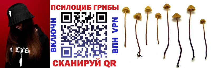 сайты даркнета какой сайт  где продают наркотики  Кондрово  Галлюциногенные грибы прущие грибы 